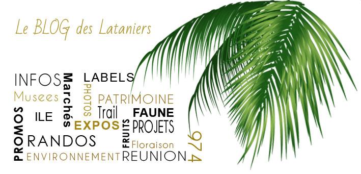 blog-les-lataniers.2016