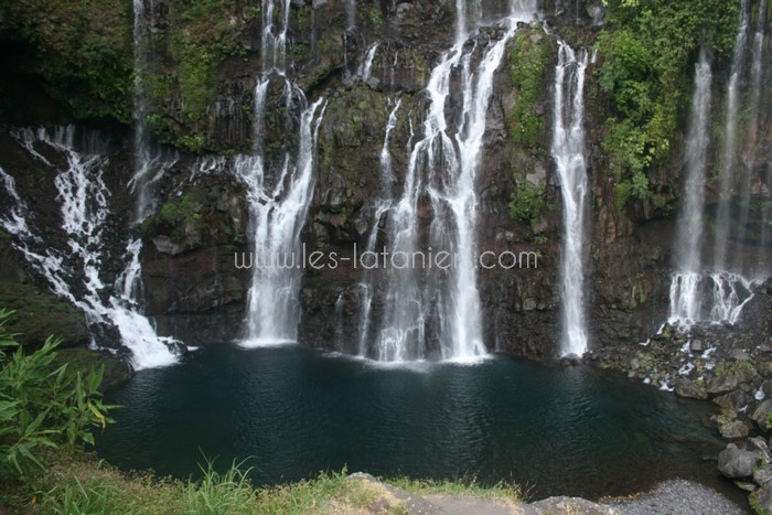 lataniers-vacances-ile-reunion-002