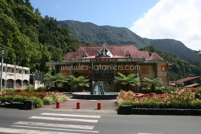 lataniers-vacances-ile-reunion-005