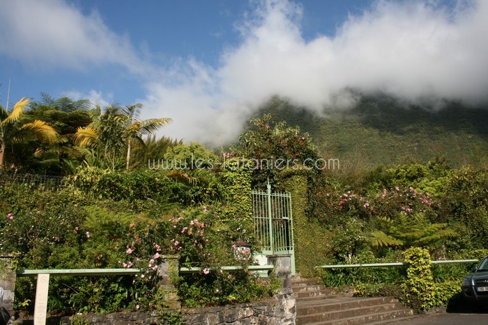 lataniers-vacances-ile-reunion-006