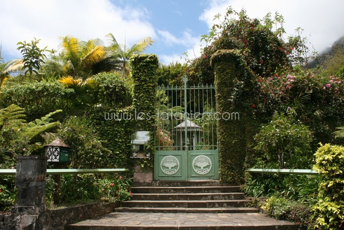 lataniers-vacances-ile-reunion-007