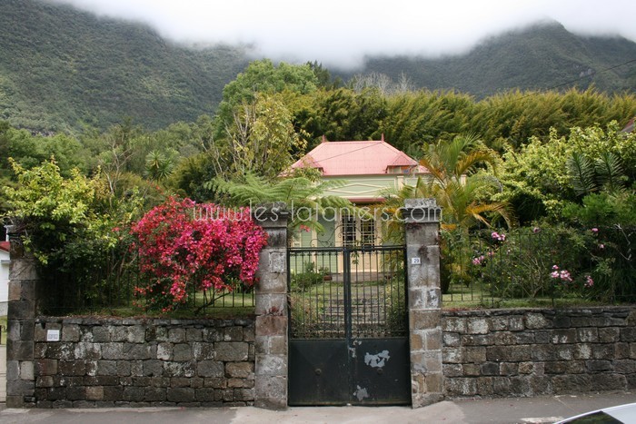 lataniers-vacances-ile-reunion-008