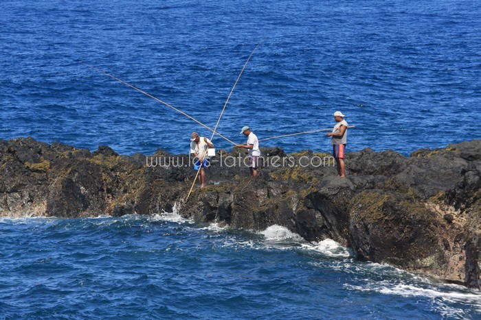 lataniers-vacances-ile-reunion-024