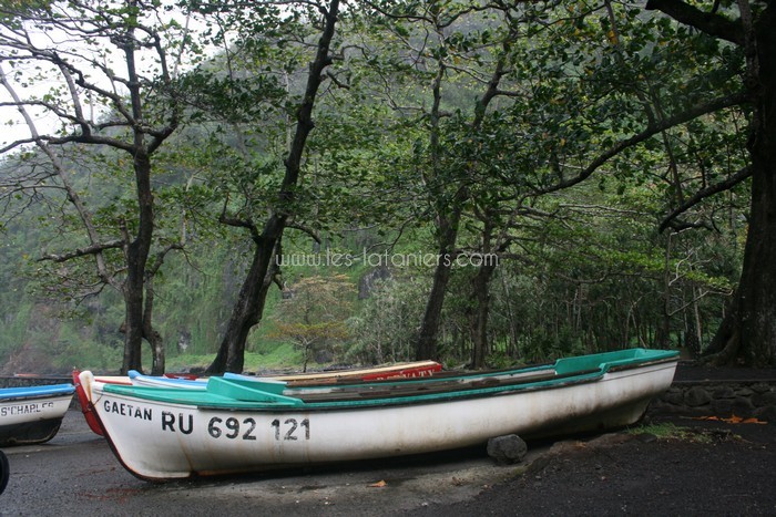 lataniers-vacances-ile-reunion-033