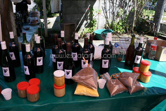 lataniers-vacances-ile-reunion-038