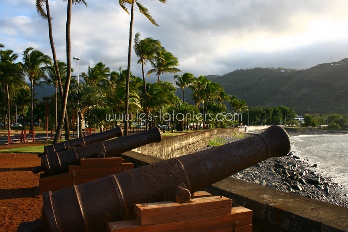lataniers-vacances-ile-reunion-042