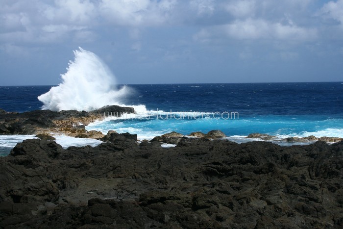 lataniers-vacances-ile-reunion-043