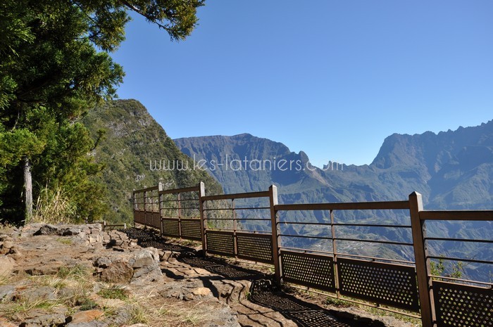 lataniers-vacances-ile-reunion-045