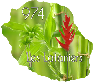 les-lataniers-carte-reunion