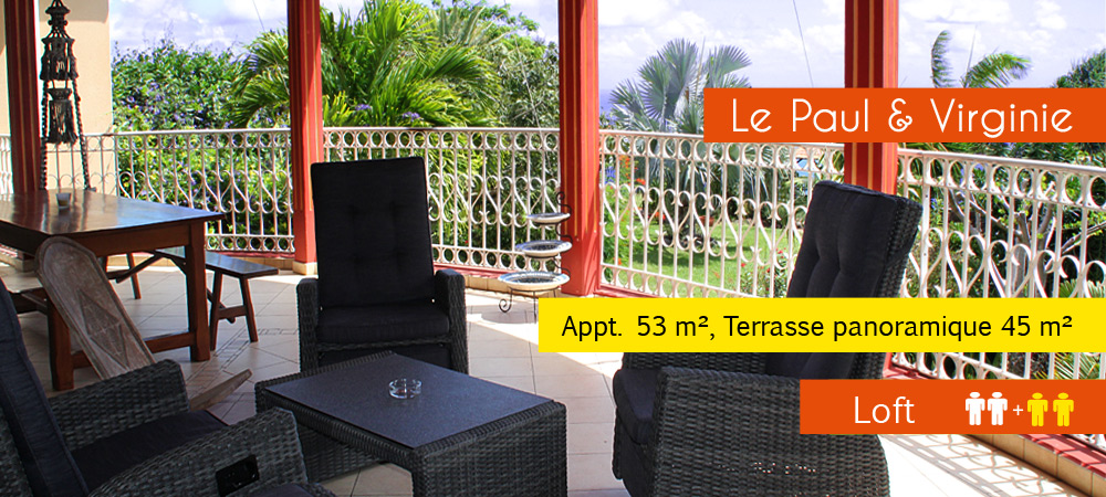 location-vacances-les-lataniers-013