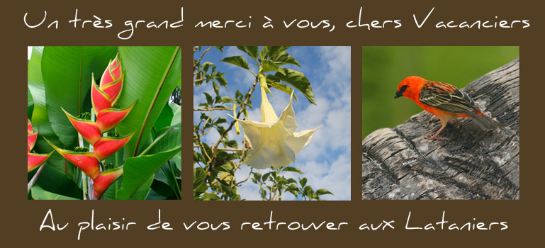 avis-les-lataniers