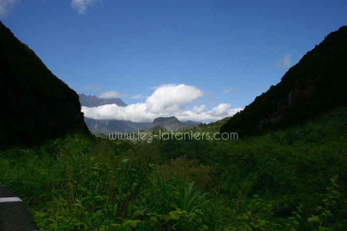salazie-ile-reunion-lataniers-001