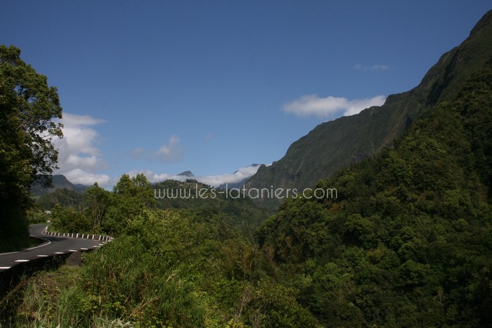 salazie-ile-reunion-lataniers-002
