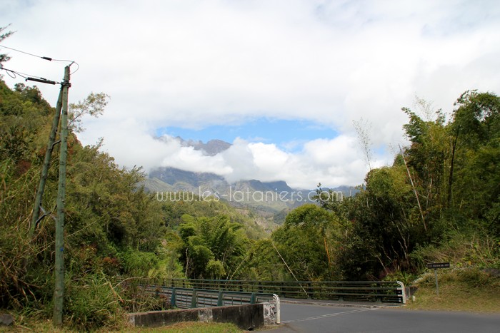 salazie-ile-reunion-lataniers-003