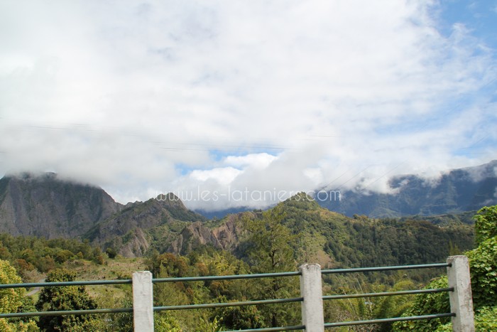 salazie-ile-reunion-lataniers-004