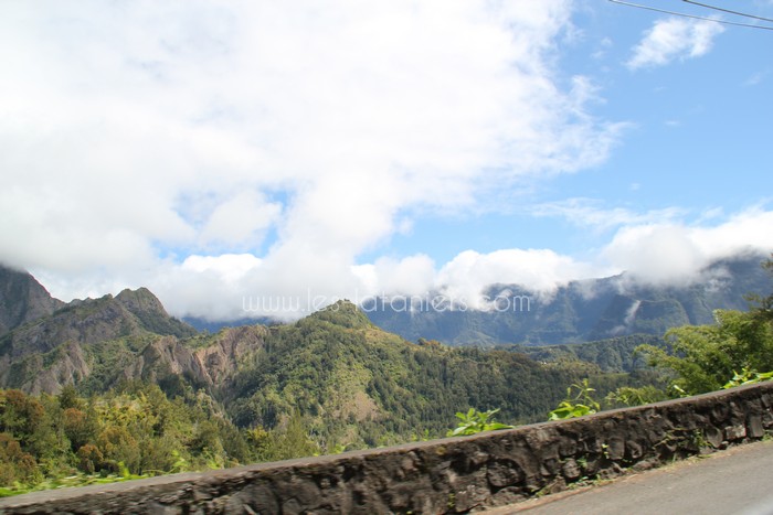 salazie-ile-reunion-lataniers-005
