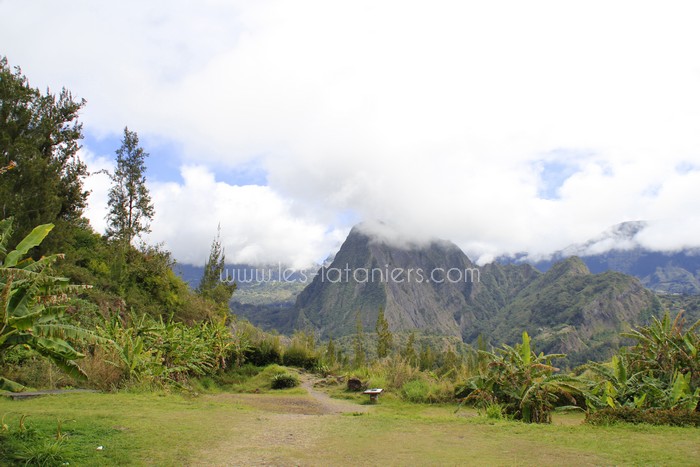 salazie-ile-reunion-lataniers-006