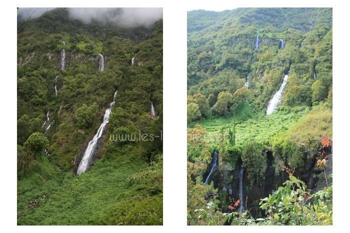 salazie-ile-reunion-lataniers-028