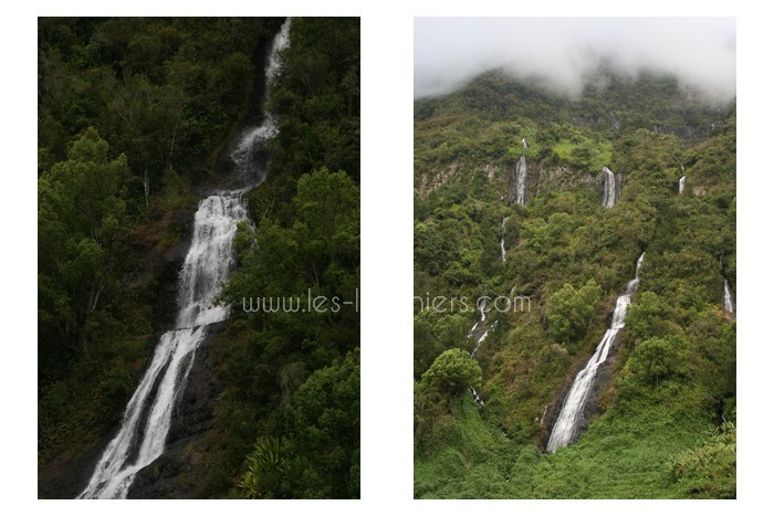 salazie-ile-reunion-lataniers-029