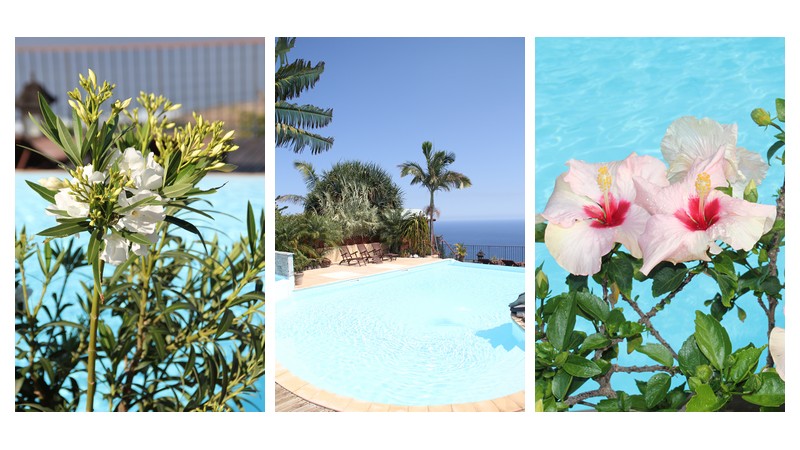 en-direct-piscine-lataniers