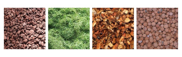 paillage-naturel-jardin-lataniers