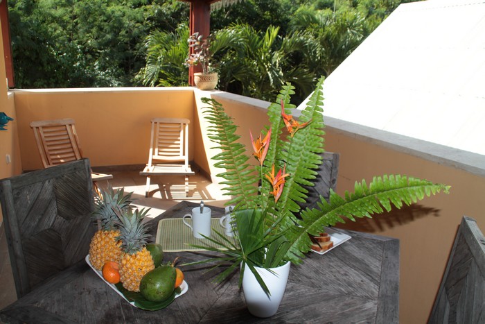 location-vacances-ile-reunion-101
