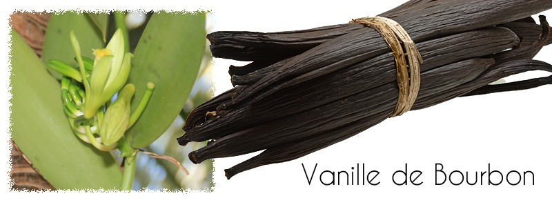 vanille de la reunion
