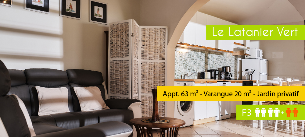 Location-ile-reunion-Latanier-vert2018