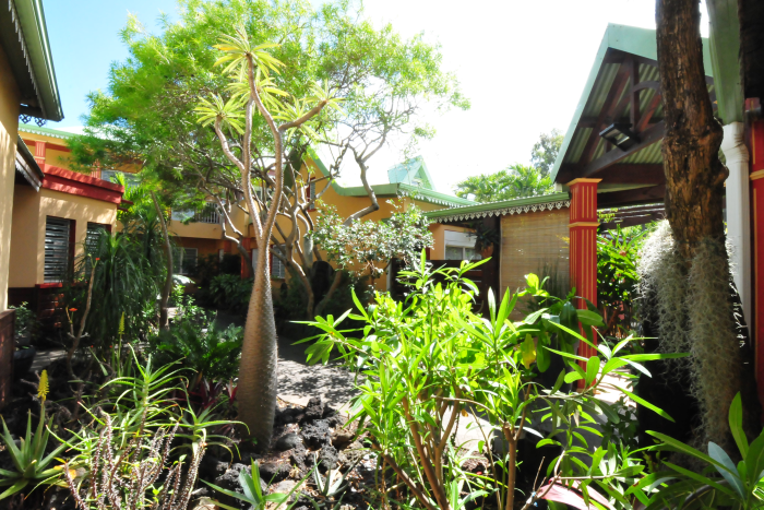 jardin tropical 5
