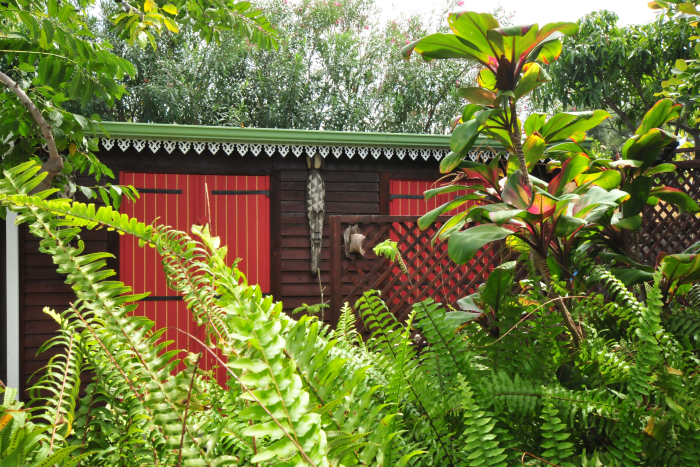 jardin tropical 6