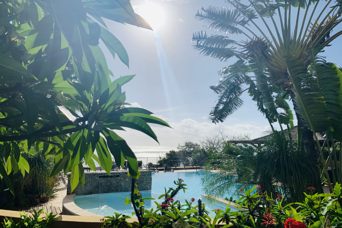 jardin tropical 7