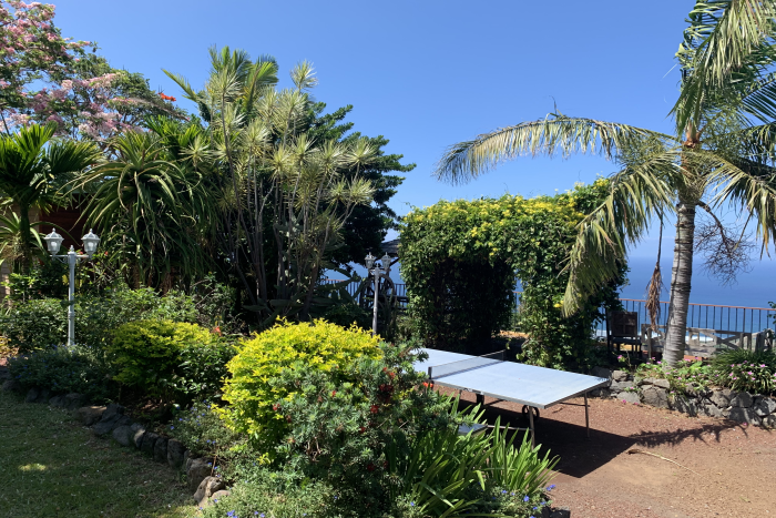 jardin tropical 9