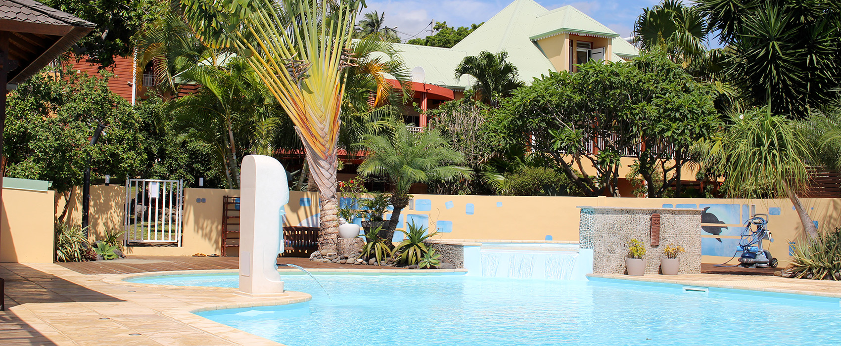 piscine vue sur les Lataniers