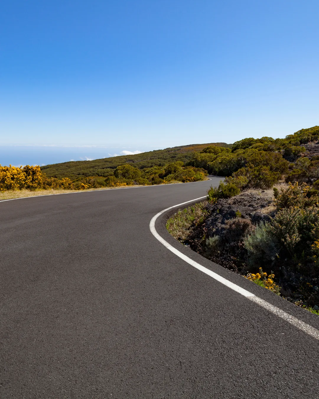 Route dans les Hauts de La Réunion